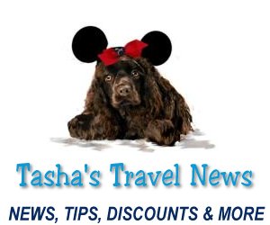 TASHA'S TRAVEL NEWS